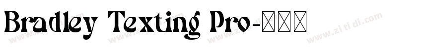 Bradley Texting Pro字体转换